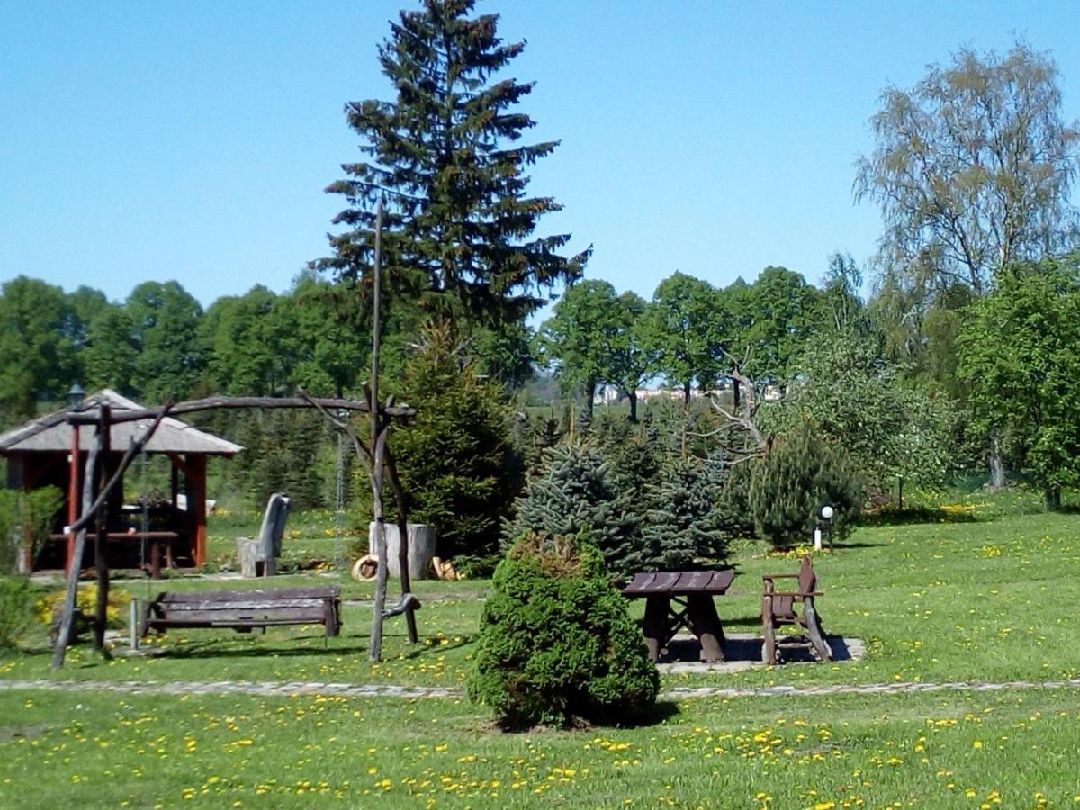 Agroturystyka Andrzejowka Czerniki Exterior photo